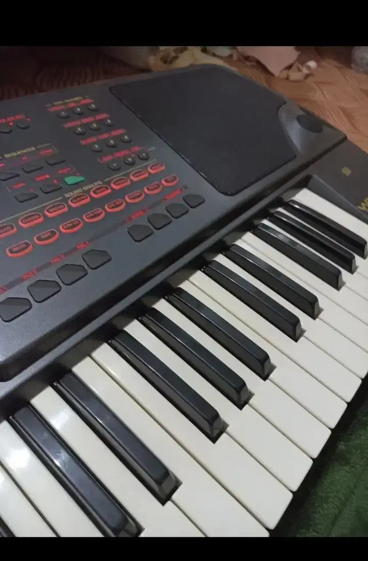 ارگ جی ام Wk8se|پیانو، کیبورد، آکاردئون|سنندج, |دیوار