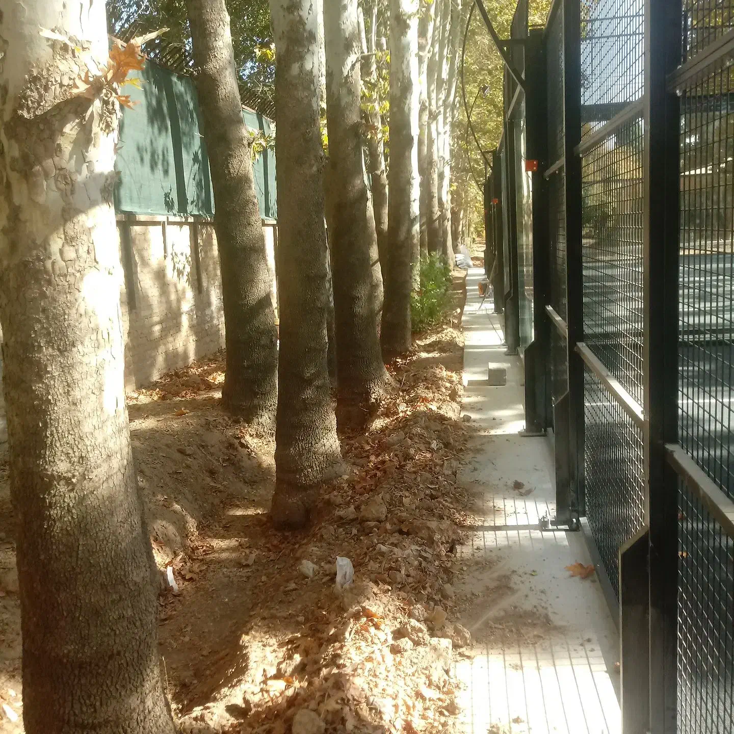 کلیه کارهایساختمان|خدمات پیشه و مهارت|شیراز, هفت تنان|دیوار