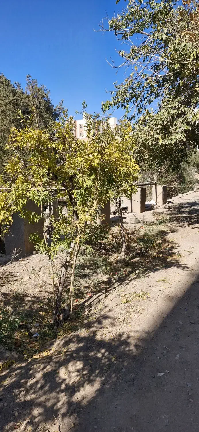 خانه باغ قدیمی برای عکاسی و فیلم برداری|خدمات پذیرایی، مراسم|سبزوار, کاشفی شمالی (دادگستری)|دیوار