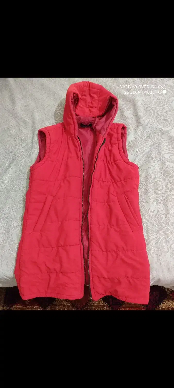 پافر زمستونی|لباس|سیرجان, |دیوار