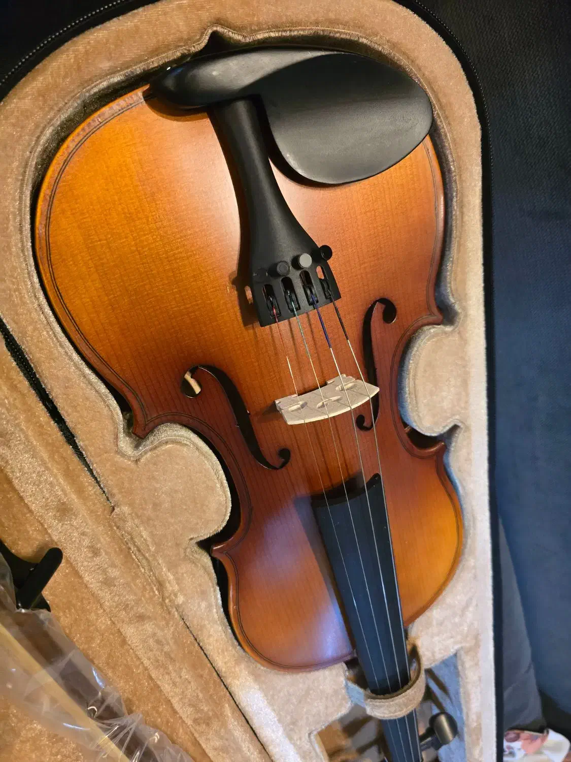 ویولون|ویولن|یزد, |دیوار