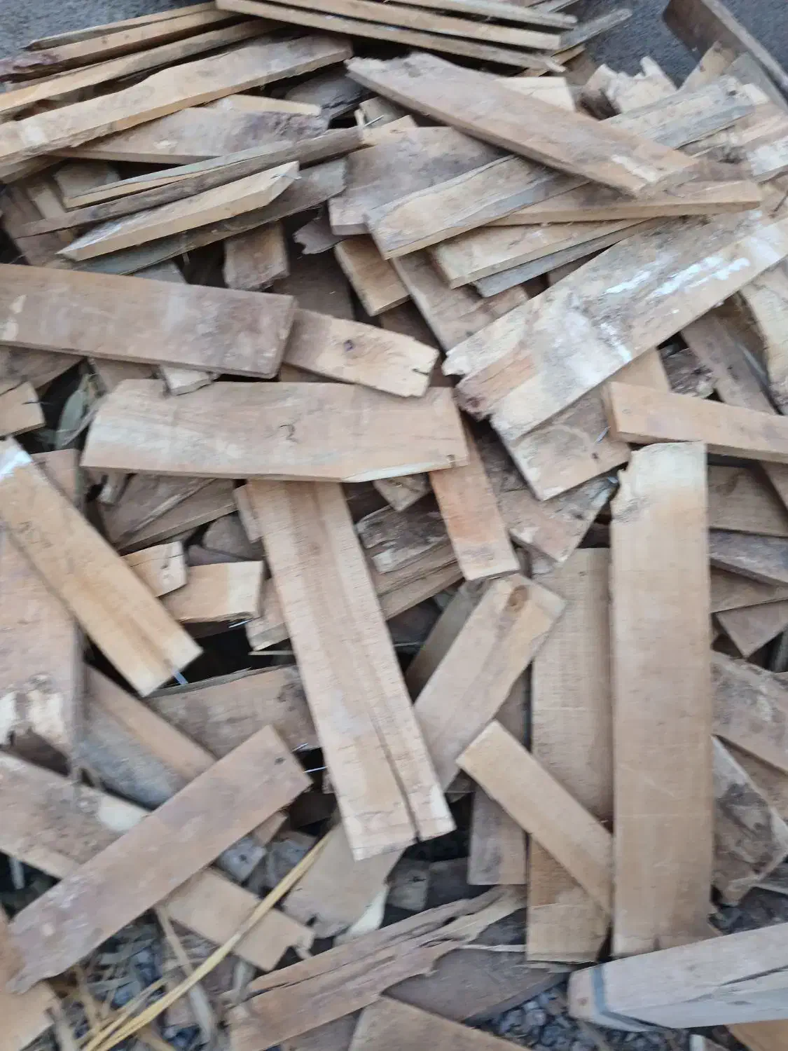 چوب سقفی|عمده‌فروشی|مشهد, محمدآباد|دیوار