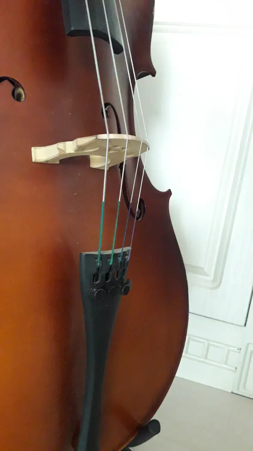 ویلون سل ۳/۴ TF 142|ویولن|مشهد, اقبال|دیوار