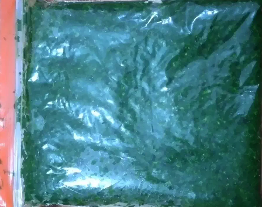 سبزی خورشتی و ماهی|خوردنی و آشامیدنی|بندر امام خمینی, |دیوار