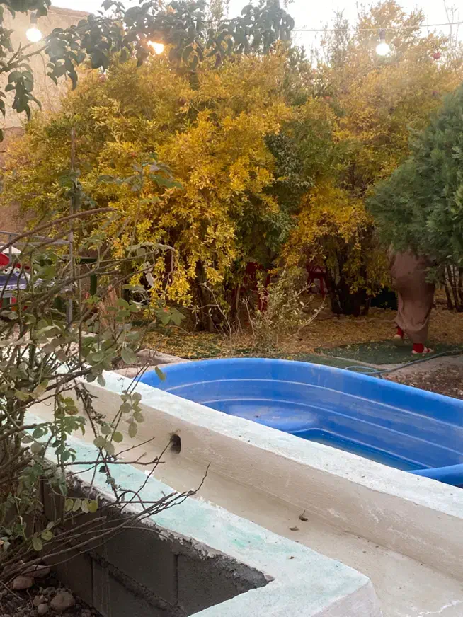 مینی سوئیت با ویروی مستقیم کوه قلات|اجارهٔ کوتاه‌مدت آپارتمان و سوئیت|شیراز, قلات|دیوار