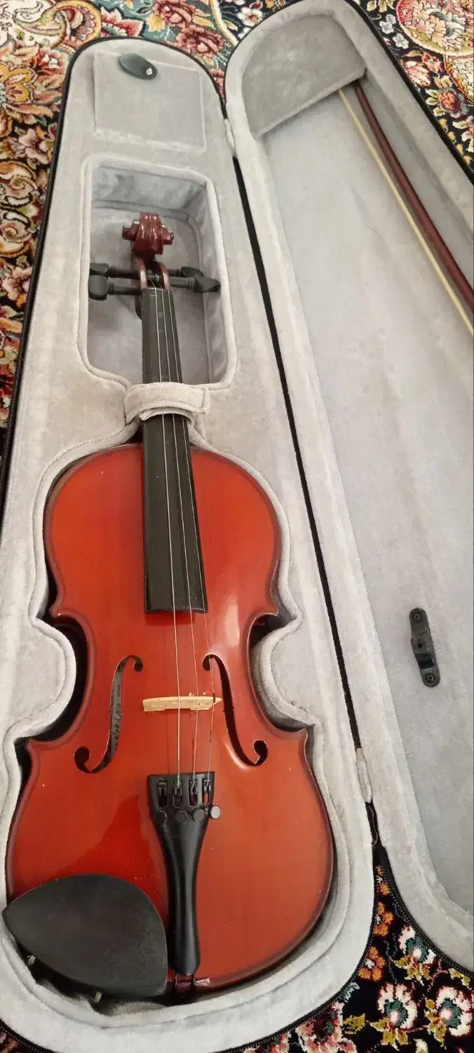 ویولن|ویولن|زنجان, |دیوار