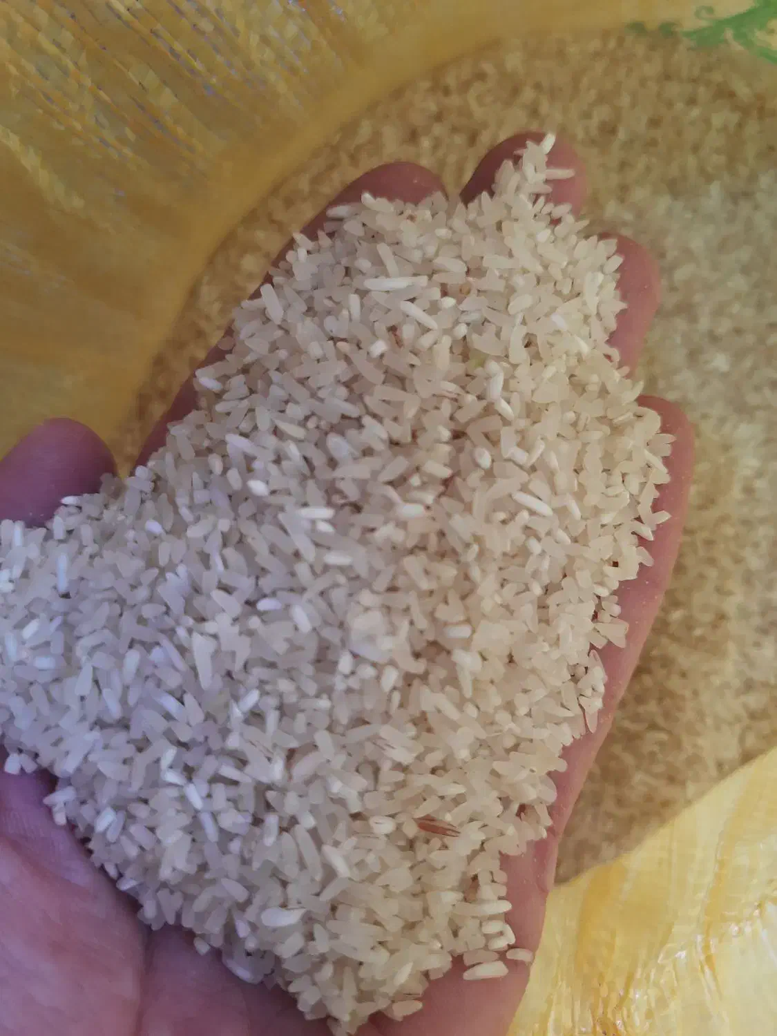 برنج فجر خوش پخت وعالی در خدمتم|خوردنی و آشامیدنی|انبارآلوم, |دیوار