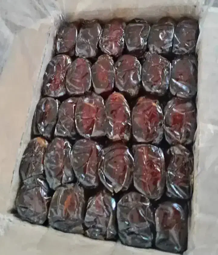 خرمای کبکاب درجه یک|عمده‌فروشی|بوشکان, |دیوار