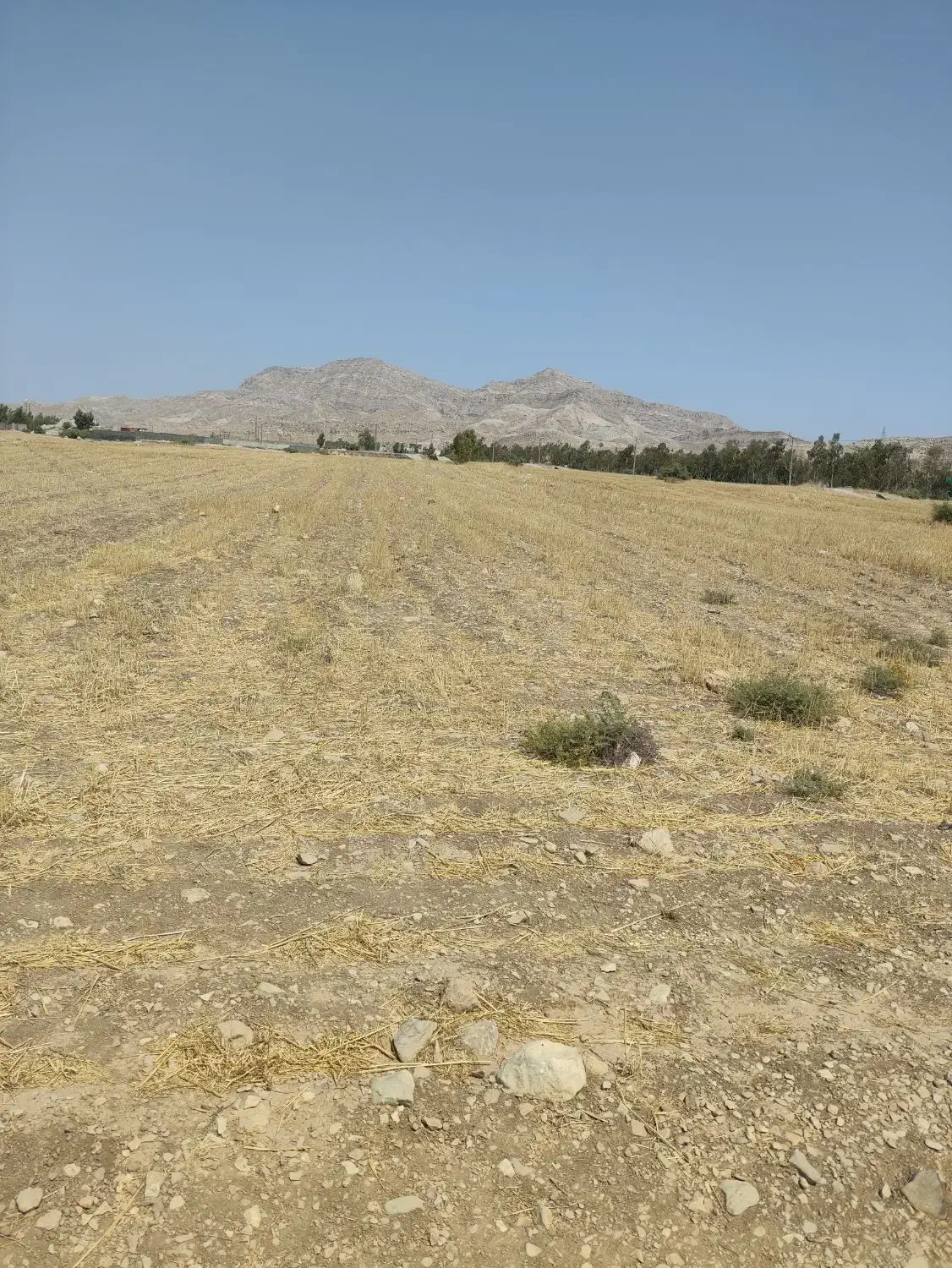 فروش  زمین  ۹۵۰۰ متری در صالح آباد  درجای خوب|فروش دفتر صنعتی، کشاورزی، تجاری|صالح آباد (ایلام), |دیوار