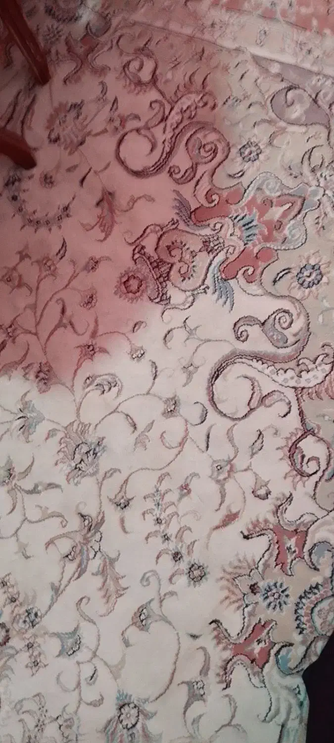 فرش ۶متری|فرش|ری, علایین|دیوار