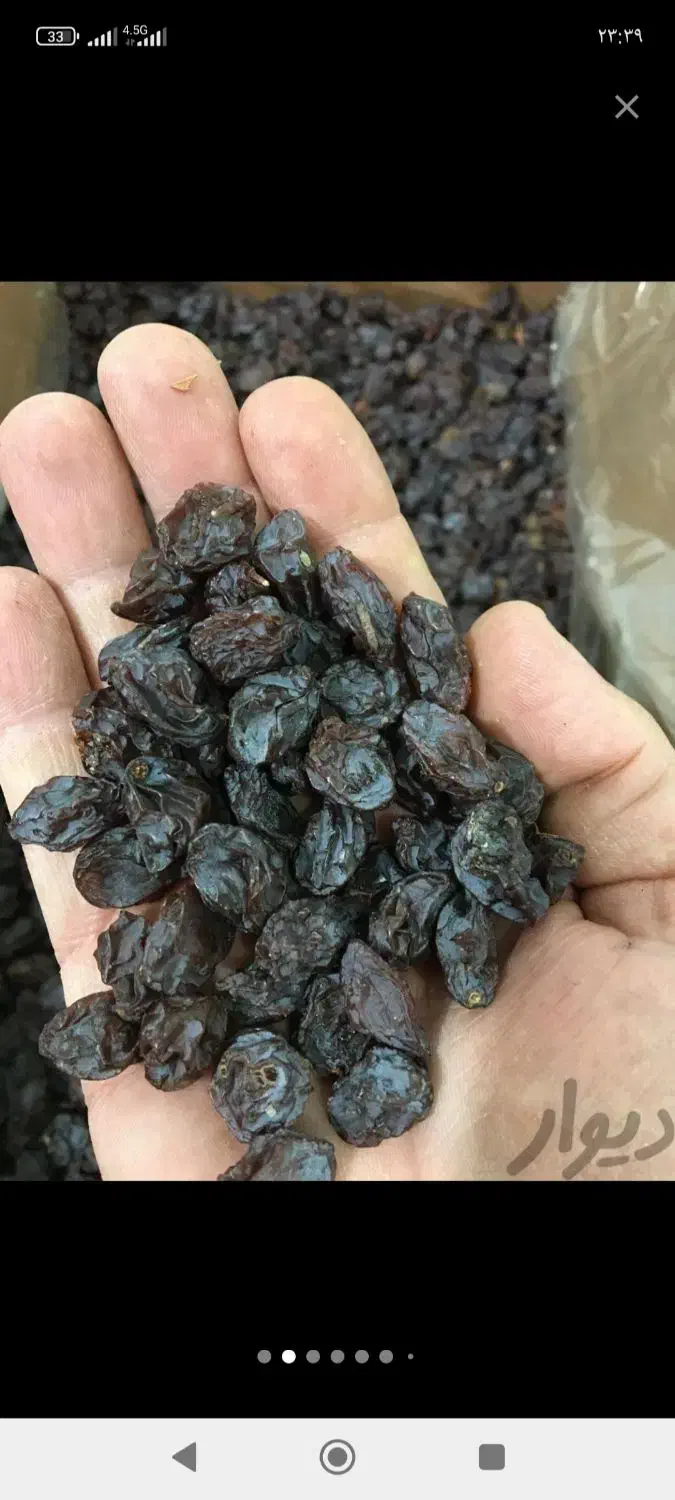 کشمش آفتابی|عمدهفروشی|قرچک, شهرک الحدید|دیوار