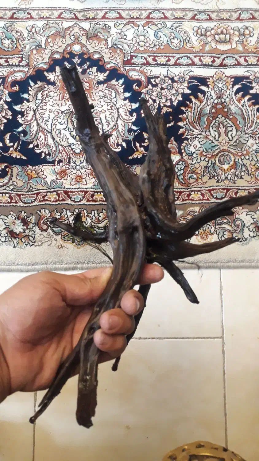 چوب آبنوس|ماهی|اصفهان, شهرک میلاد|دیوار