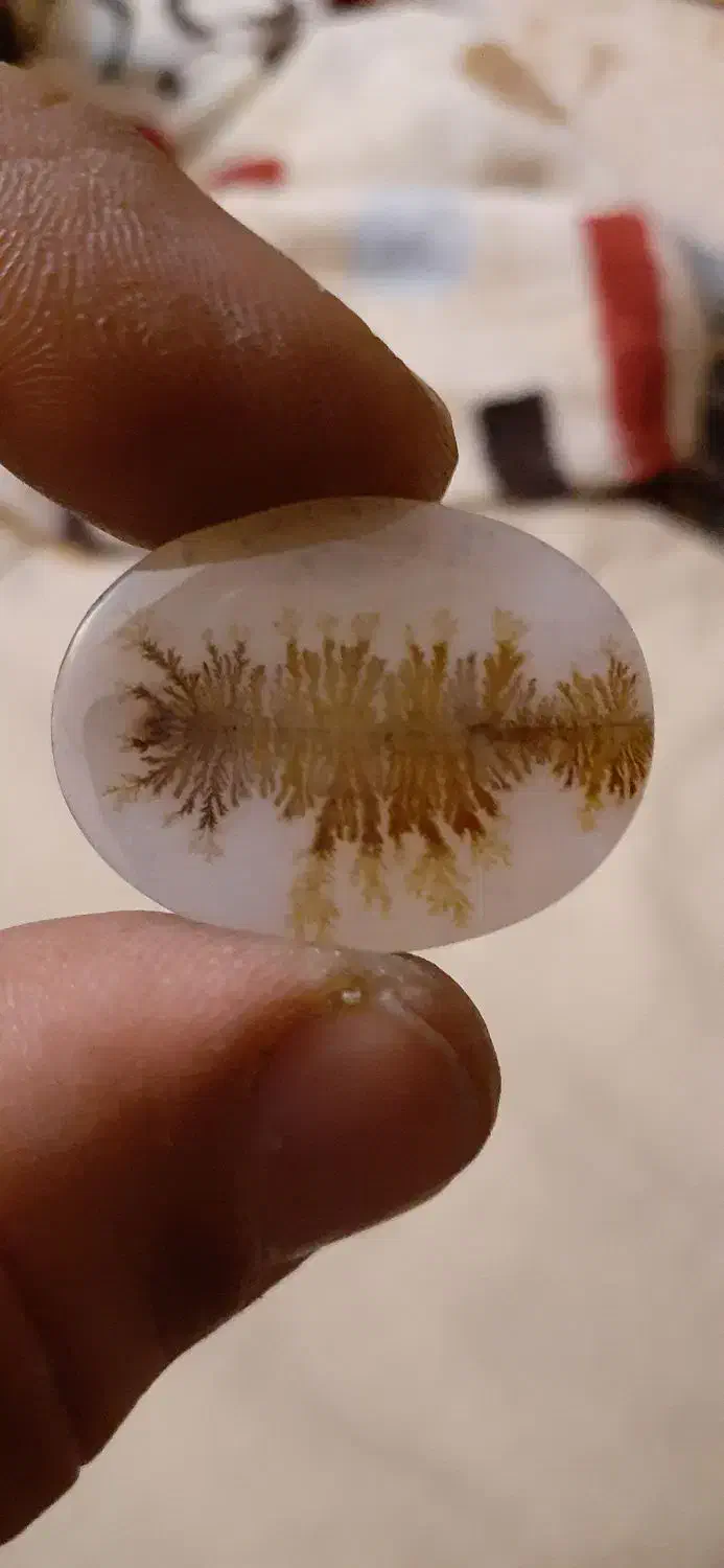 شجر|جواهرات|شاهین‌شهر, خانه کارگر|دیوار