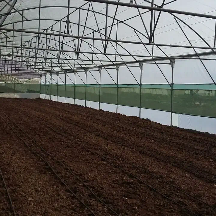 کود گیاهیی|خدمات باغبانی و درختکاری|شیراز, گل سرخ|دیوار