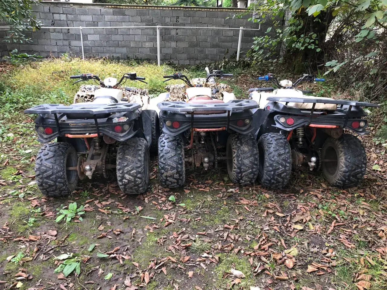 چهارچرخ کایو ۱۸۰ سی سی|موتورسیکلت|سلمان‌شهر, |دیوار