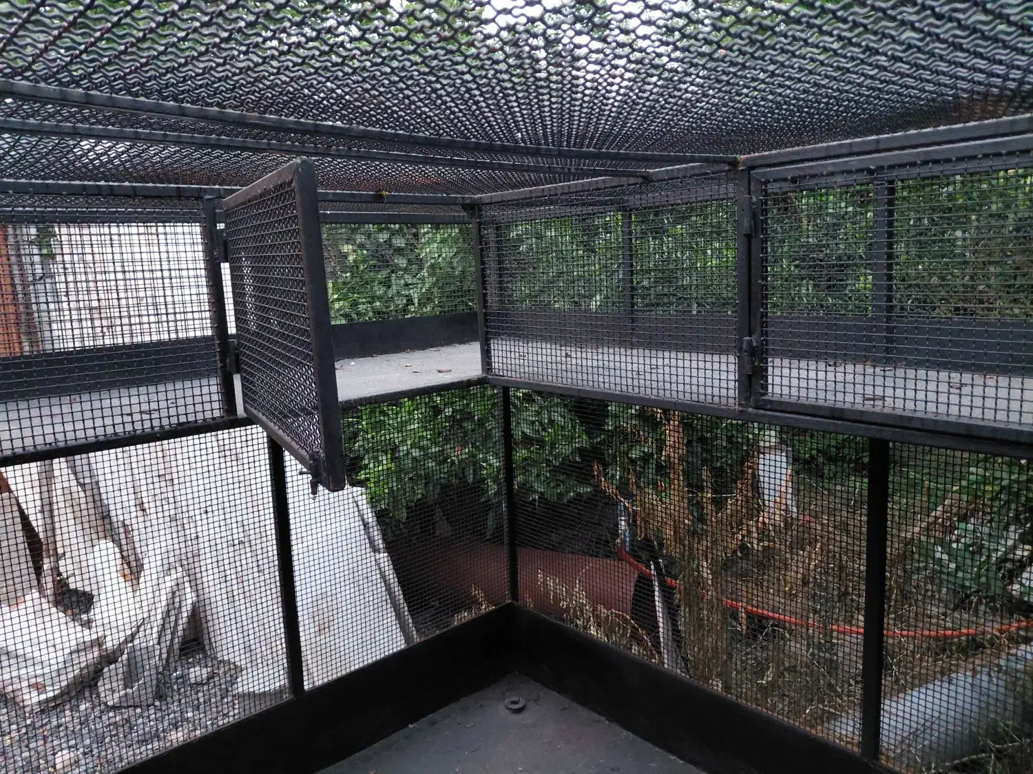 قفس بزرگ و محکم|لوازم جانبی حیوانات|قائم‌شهر, |دیوار