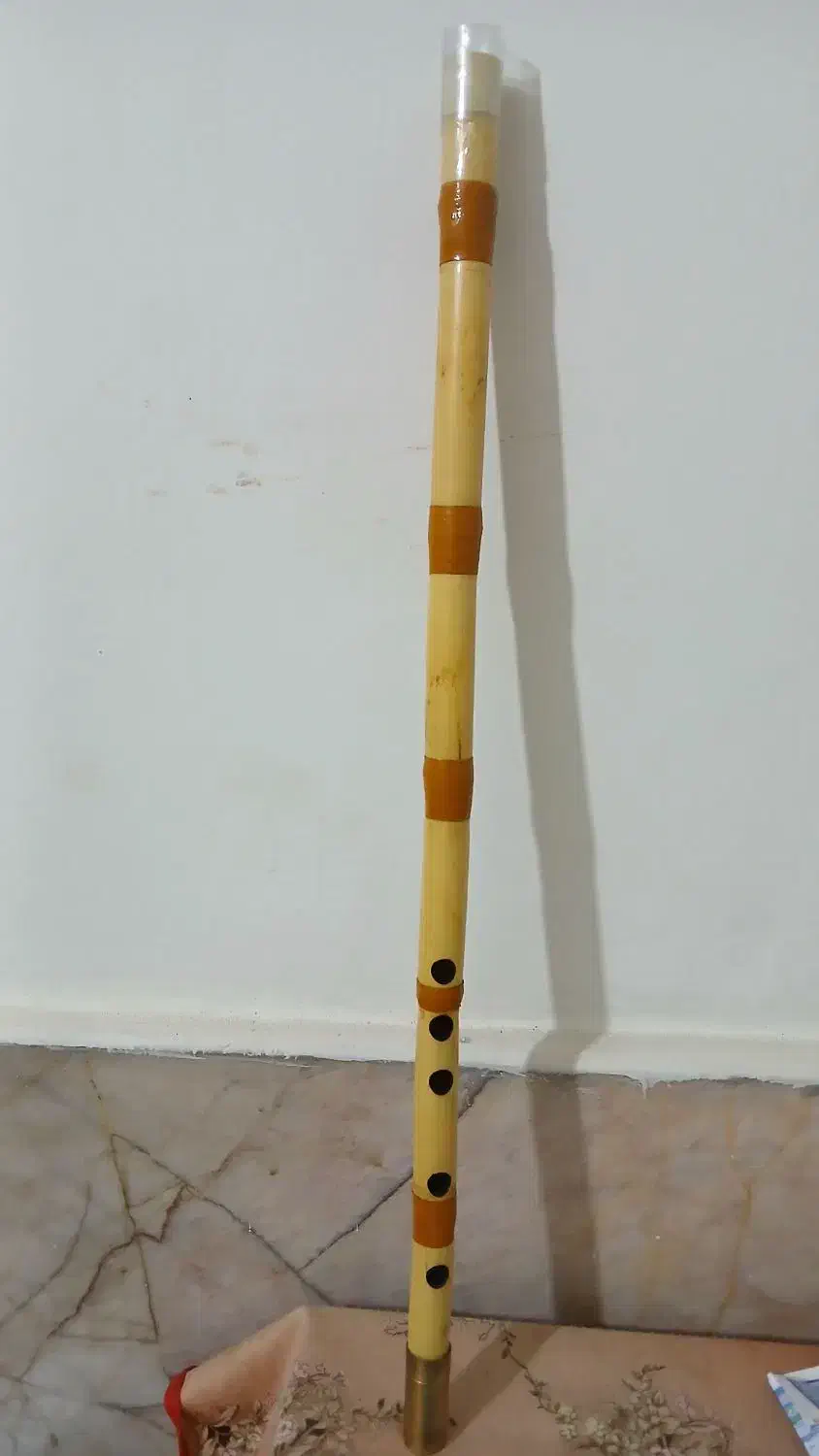 نی کوک سل|سازهای بادی|مشهد, ادیب نیشابوری (شهرک غرب)|دیوار