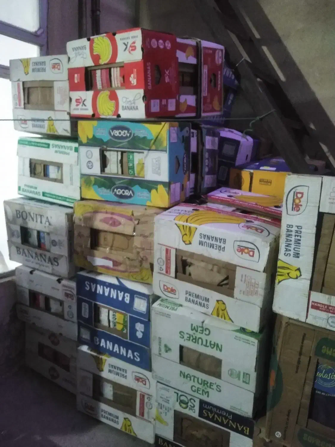 فروش کارتن موز|ابزارآلات|دیواندره, |دیوار