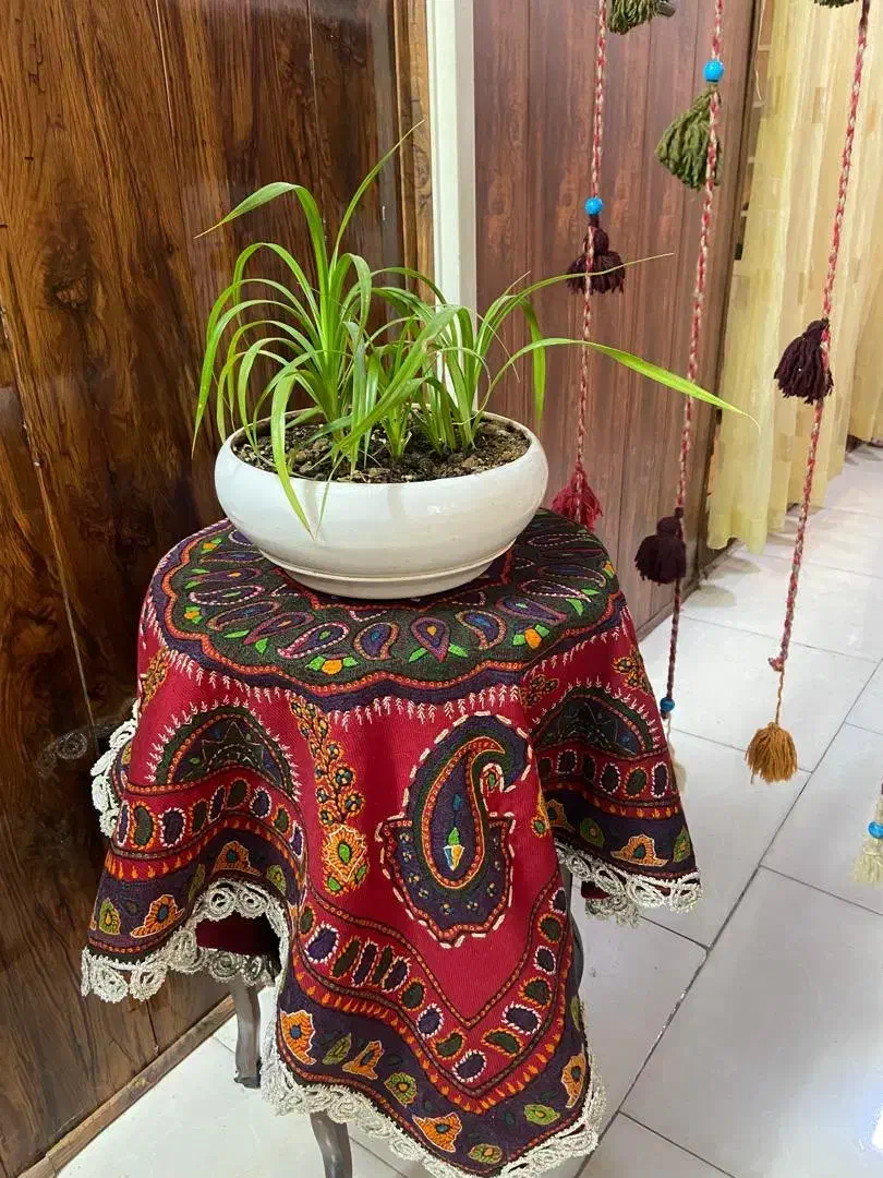 پته ی کرمان|پرده، رانر، رومیزی|طرقبه, |دیوار