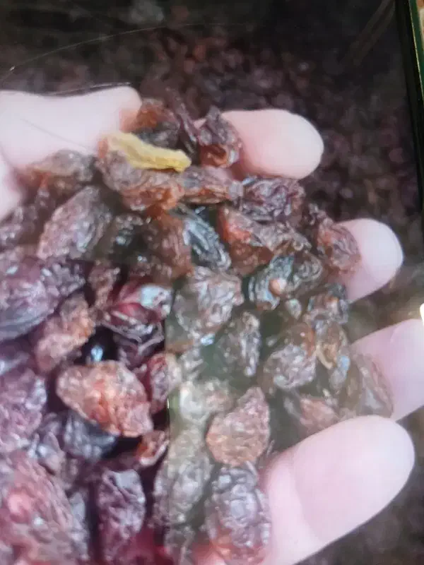 کشمش ومویز آفتابی کاشمر.ابگیری|خوردنی و آشامیدنی|اصفهان, نصرآباد|دیوار