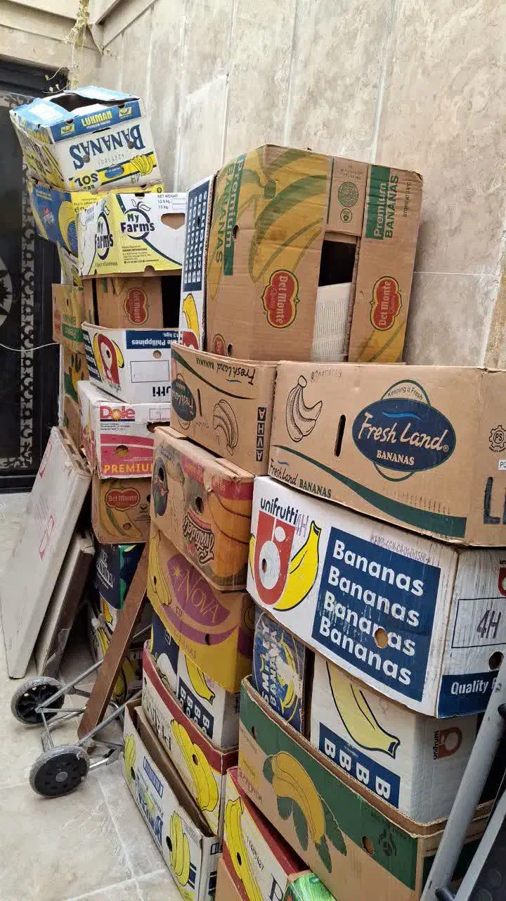 کارتون موزی|عمدهفروشی|قم, باجک دو|دیوار