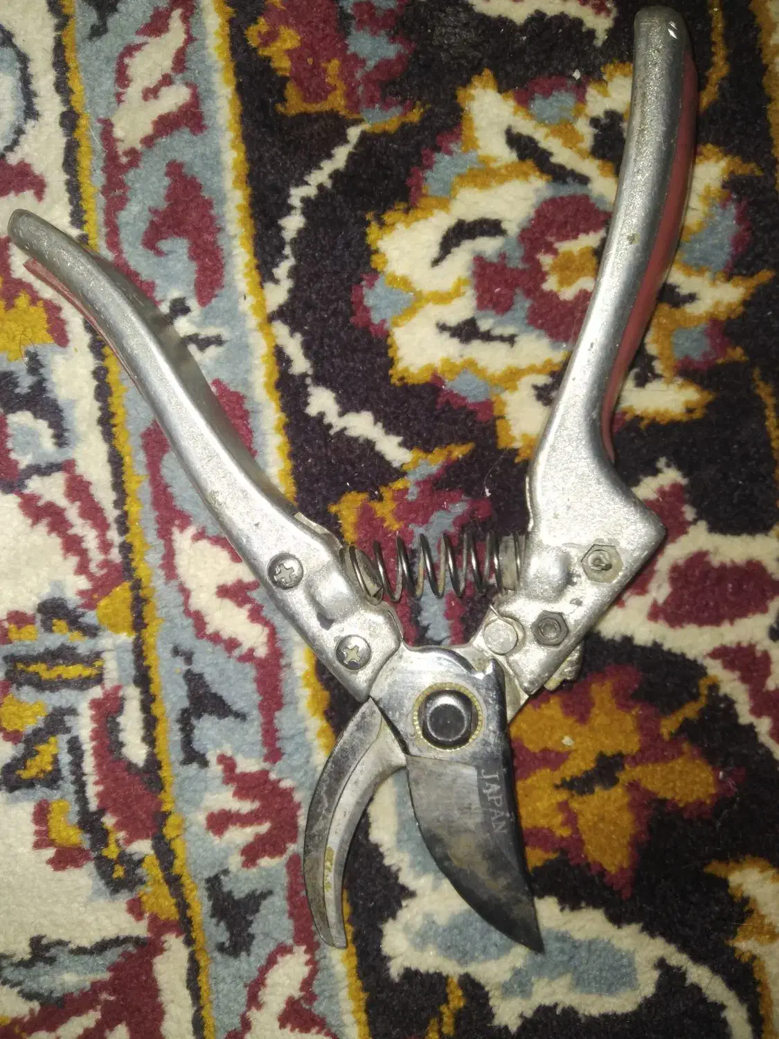 آره با قیچی|کوهنوردی و کمپینگ|رفسنجان, |دیوار