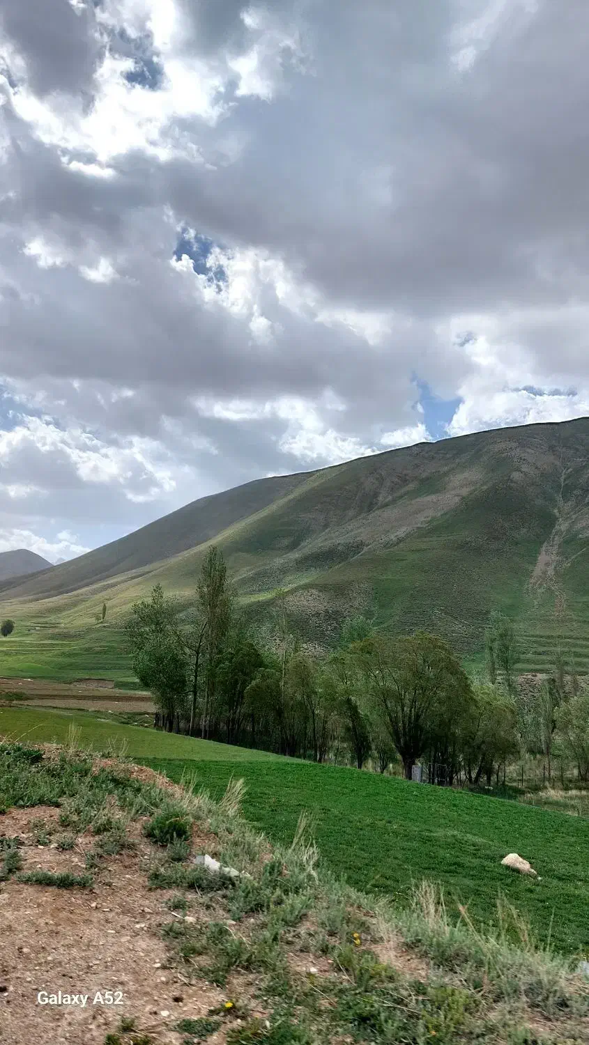 اجاره کارگاه ۸ کیلومتر شهر تهران|اجارهٔ دفتر صنعتی، کشاورزی، تجاری|جاجرود, |دیوار