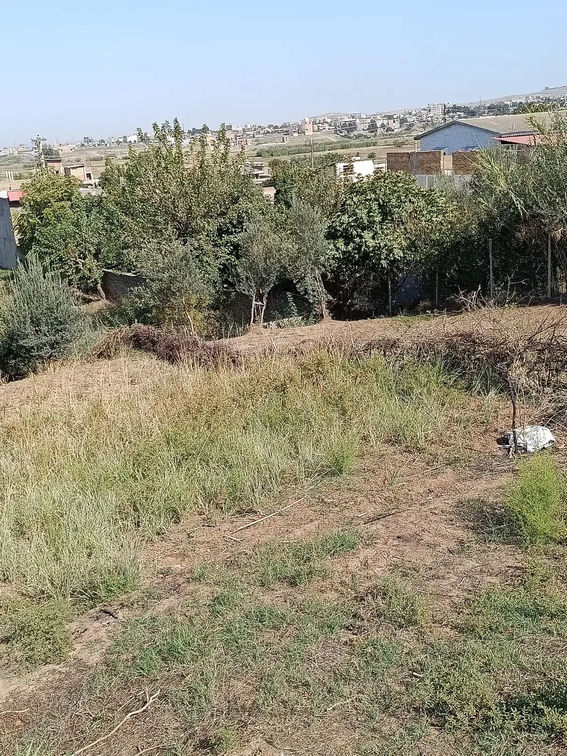 زمین فروشی در کلوکند|فروش زمین و ملک کلنگی|القجر, |دیوار