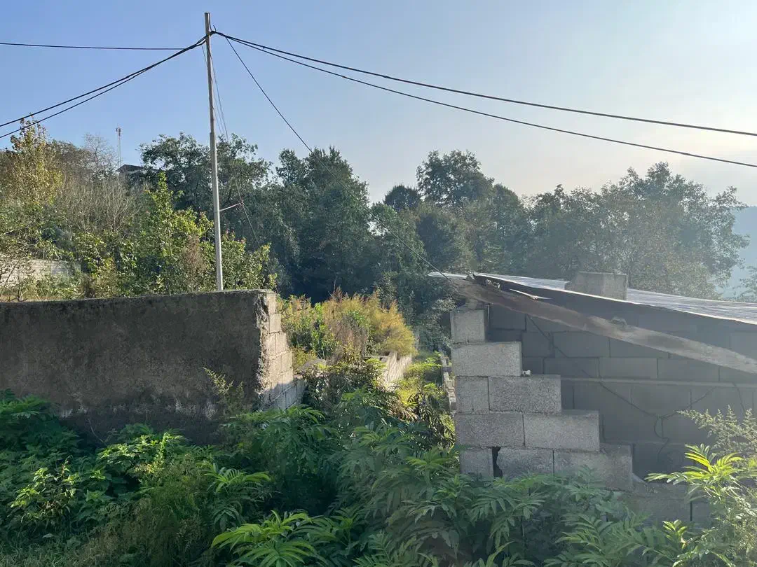 فروش زمین جنگلی در لفور|فروش زمین و ملک کلنگی|آلاشت, |دیوار