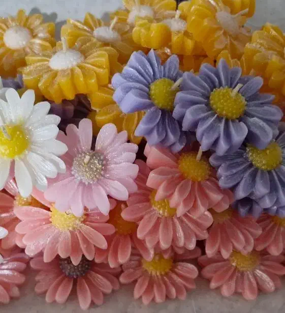 شمع گل بابونه|صنایع دستی و سایر لوازم تزئینی|ری, فیروزآبادی|دیوار