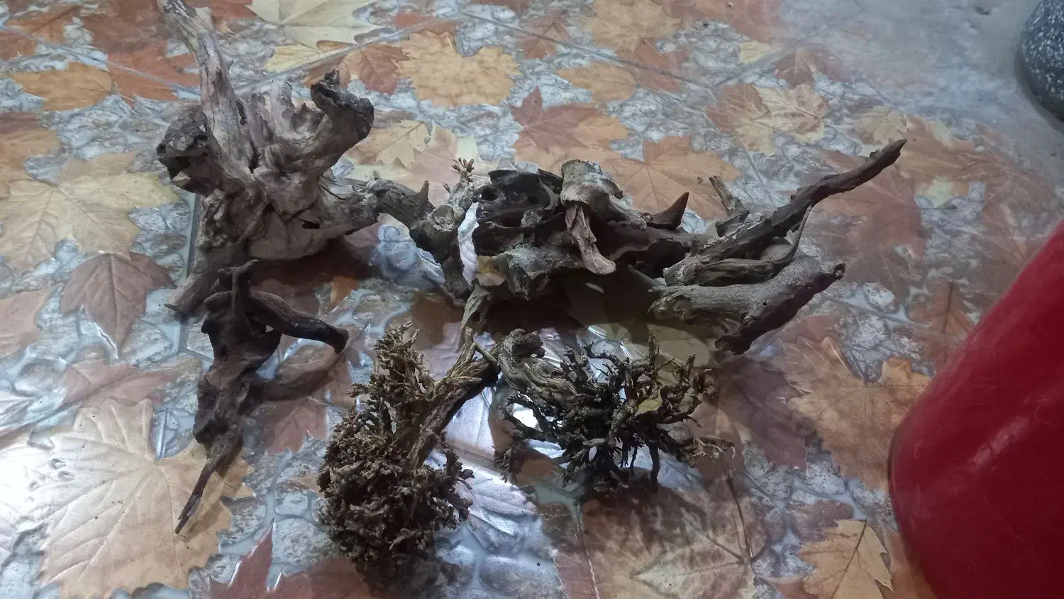 چوب آبنوس اصلی|ماهی|اسلامشهر, زرافشان|دیوار