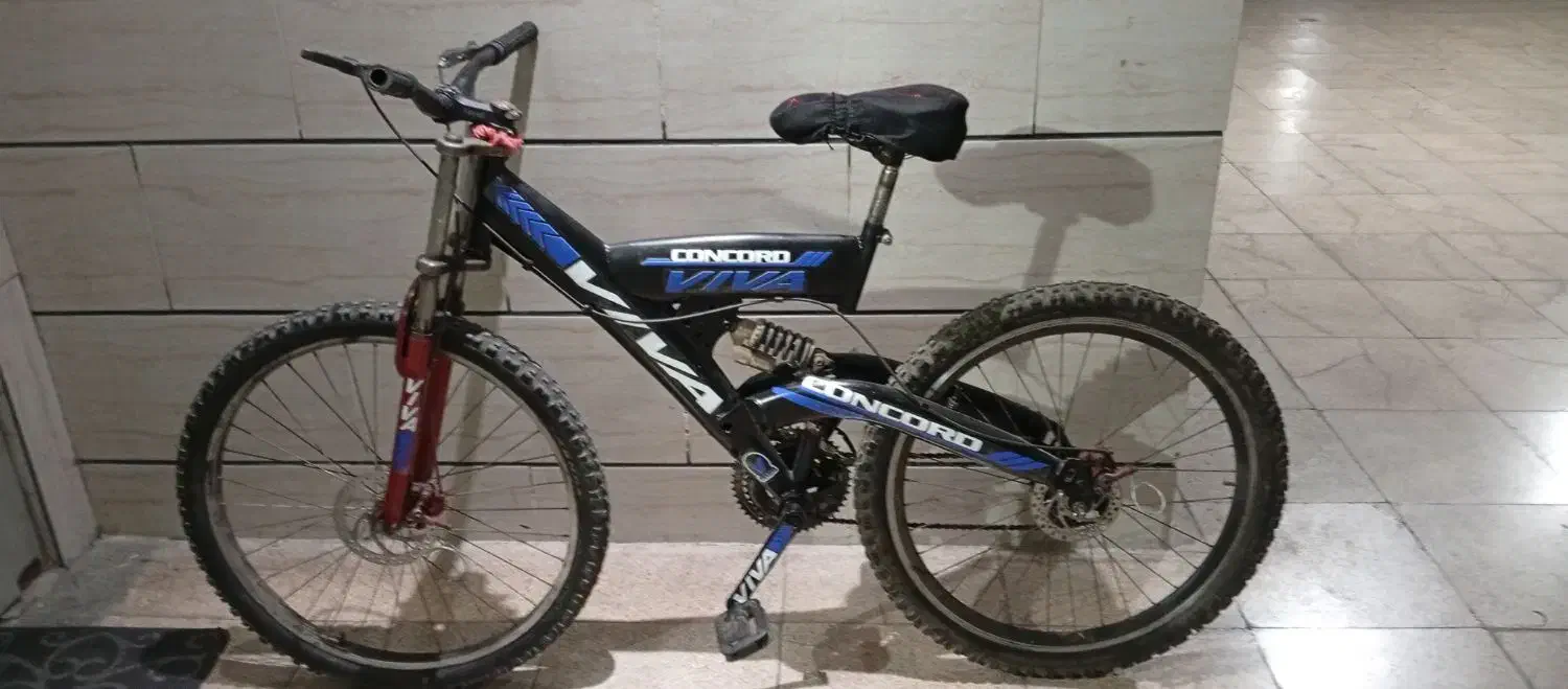 دوچرخه|دوچرخه، اسکیت، اسکوتر|ری, شهادت|دیوار