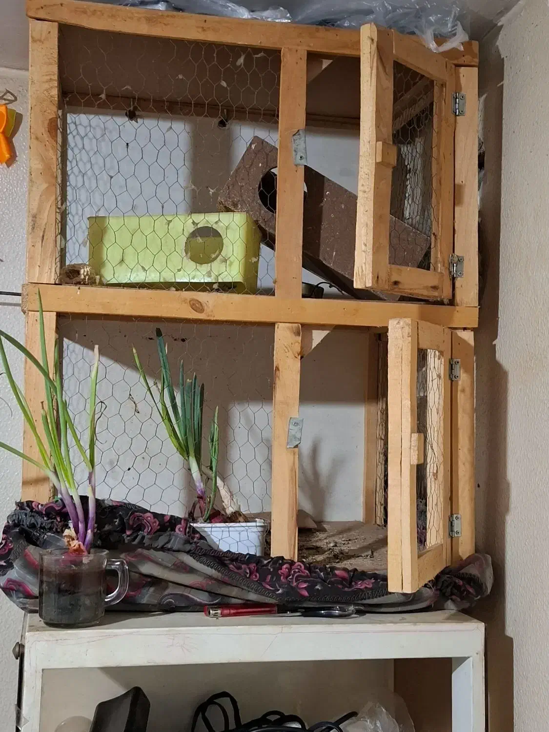 یک عددقفس چوب سالم سالم|لوازم جانبی حیوانات|شاهینشهر, گرگاب|دیوار