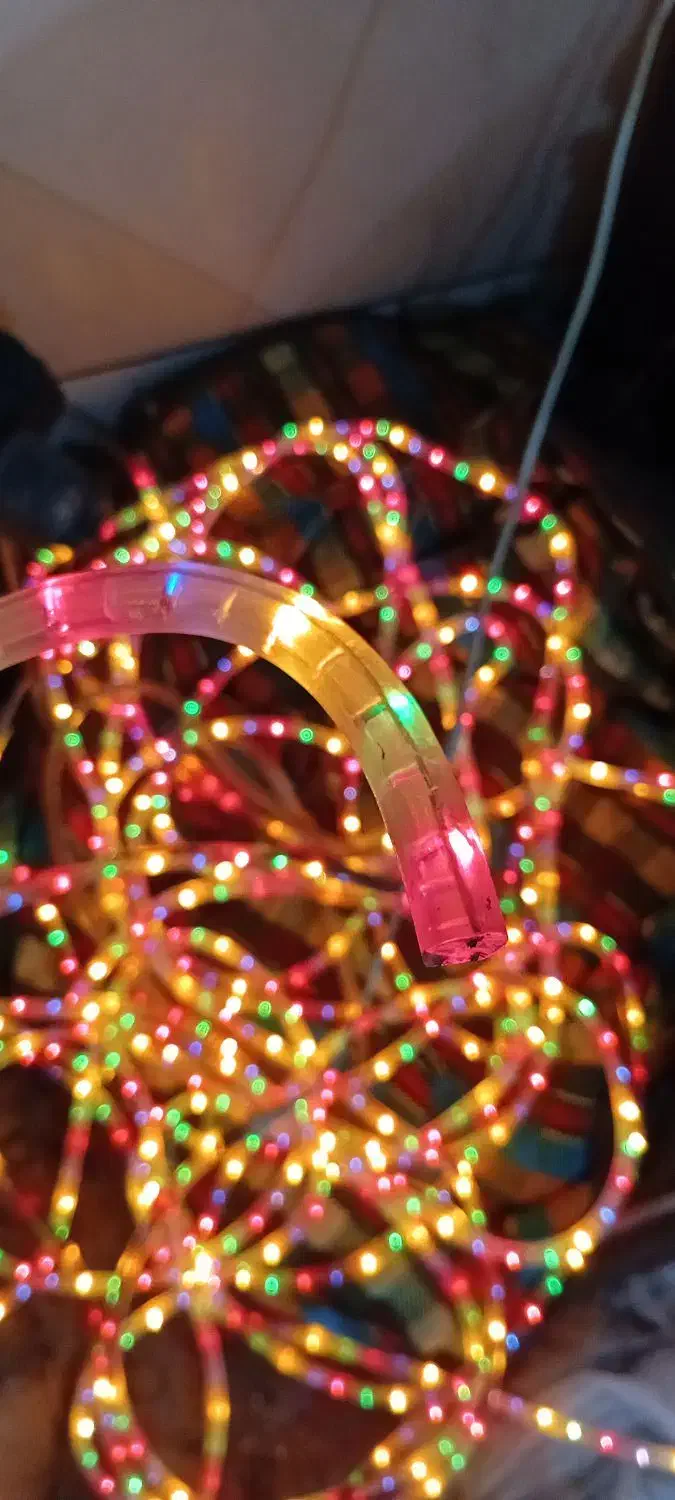 ریسه شلنگی|ریسه و چراغ تزئینی|اهواز, نبوت|دیوار