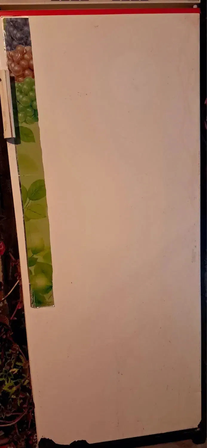 یخچال فیلور|یخچال و فریزر|جونقان, |دیوار