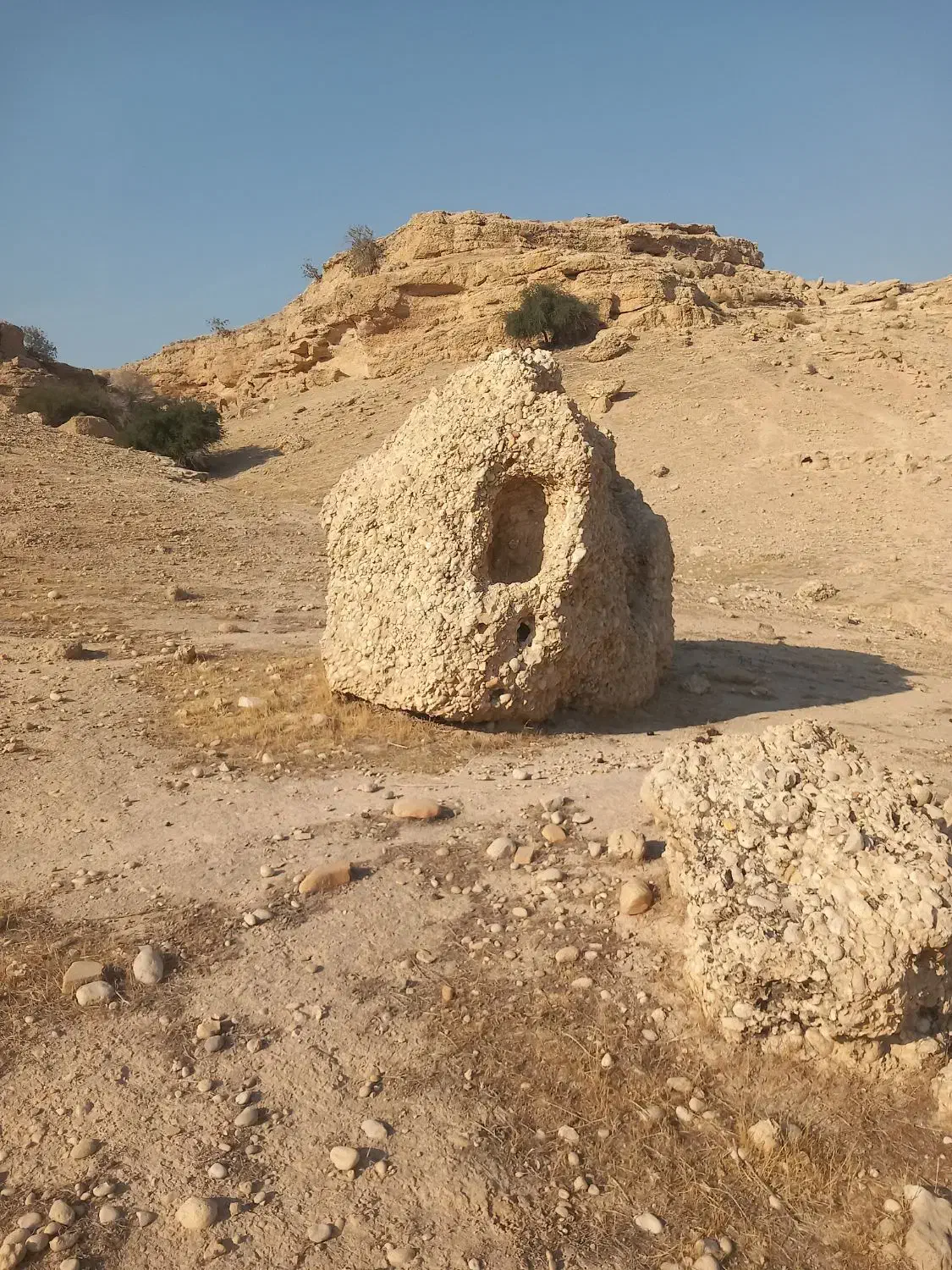 گله دارانی که قصد دارن بیان گرمسیر بخونن|استخدام سرایداری و نظافت|لیکک, |دیوار