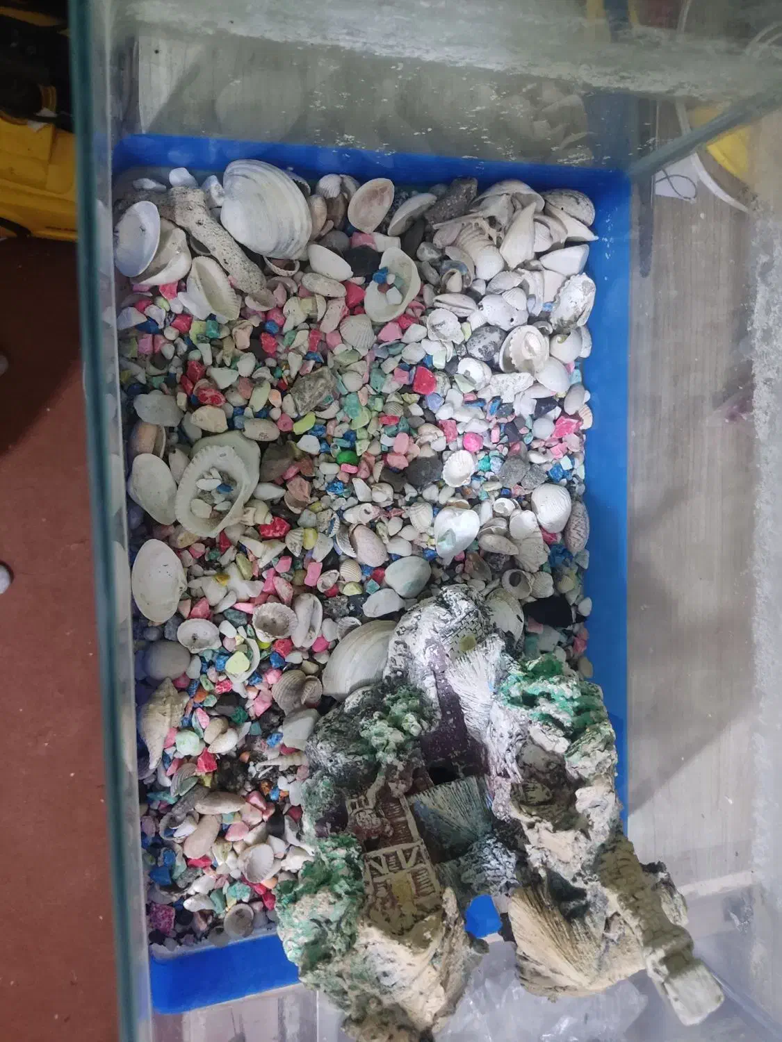 آکواریوم شیشه خم|ماهی|نظرآباد, رسالت|دیوار