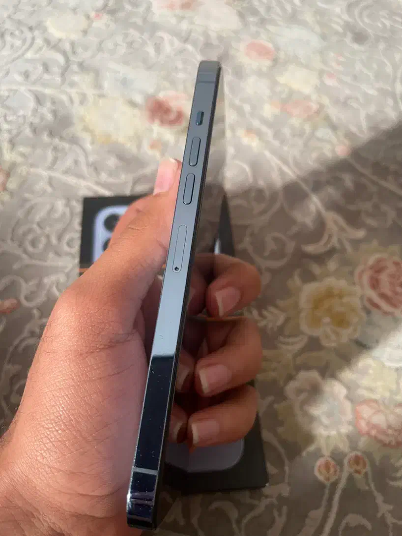 آیفون ۱۳پرومکس|موبایل|بندرعباس, |دیوار