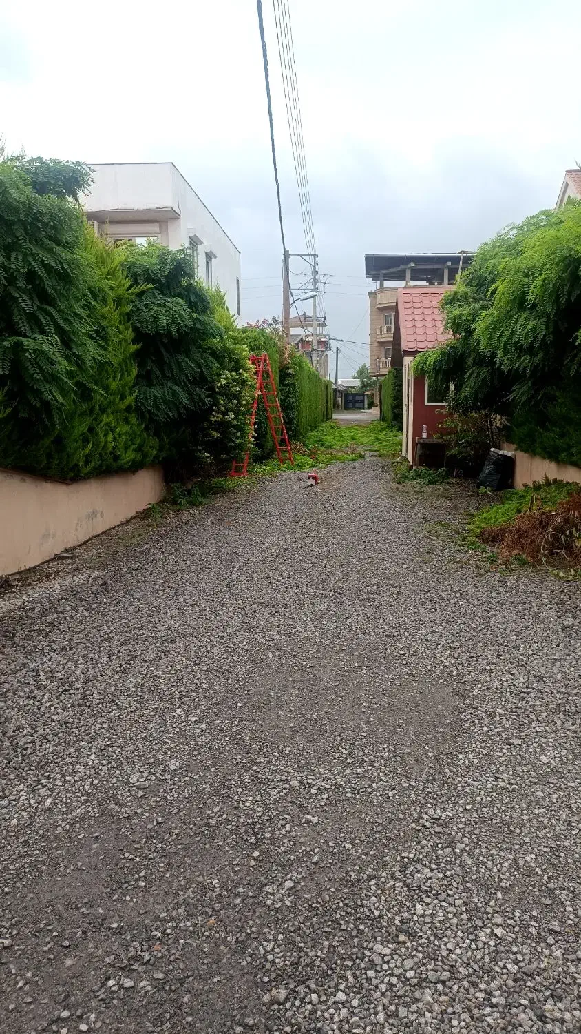 باغبانی و باغچه سازی|خدمات باغبانی و درختکاری|آمل, |دیوار