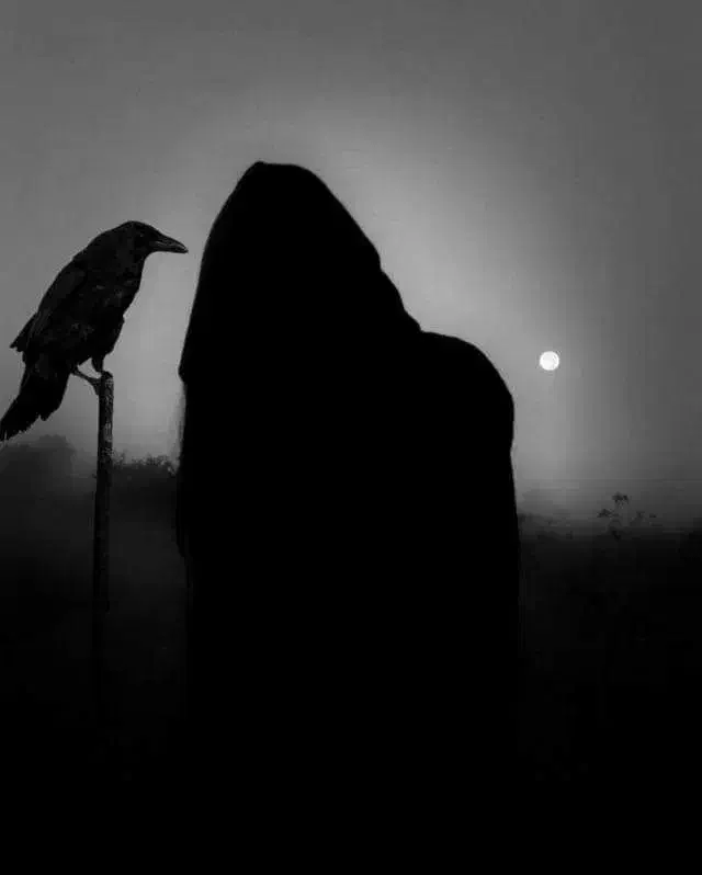 مشورت|فعالیت داوطلبانه|کرمانشاه, |دیوار