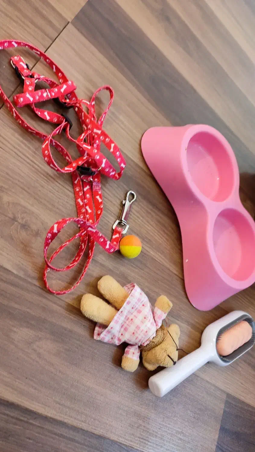 لوازم پت|لوازم جانبی حیوانات|اردبیل, |دیوار