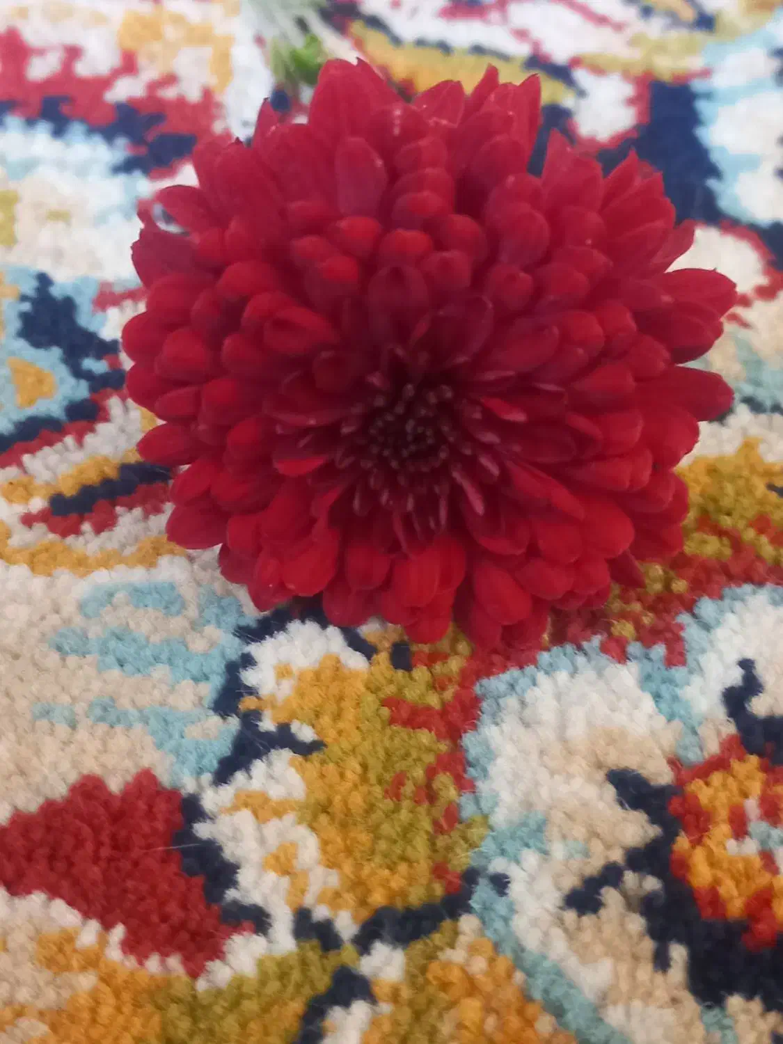 یک قطعه پلاک زمین باغی چهار دیواری با لوکیشن مناسب|فروش خانه و ویلا|اصفهان, براآن شمالی|دیوار