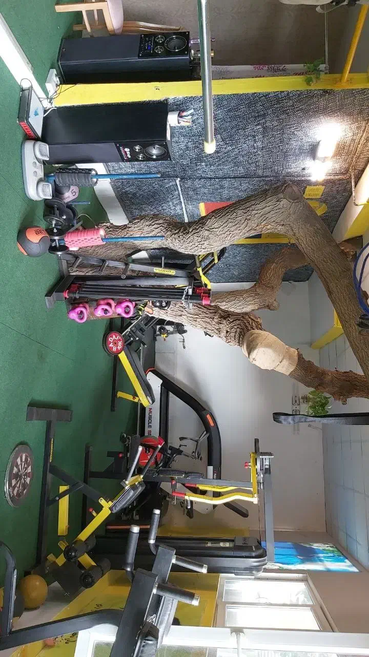 ورزشی|خدمات آموزشی|تهران, پونک|دیوار