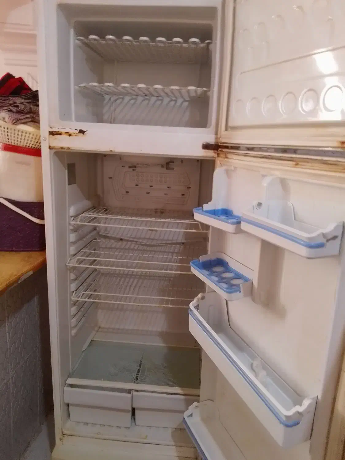 یخچال نو|یخچال و فریزر|هامون, |دیوار