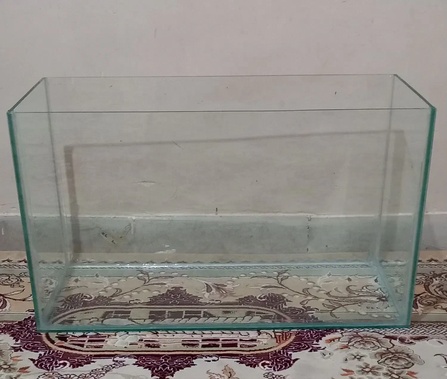 آکواریوم|ماهی|زاهدان, |دیوار