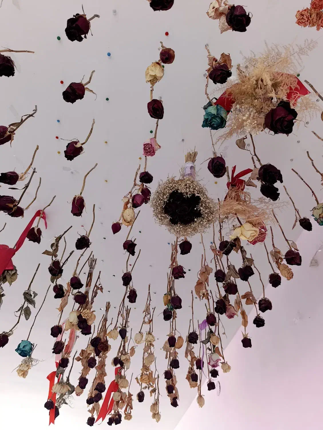 گل رز|گل مصنوعی|فردوس (خراسان), |دیوار