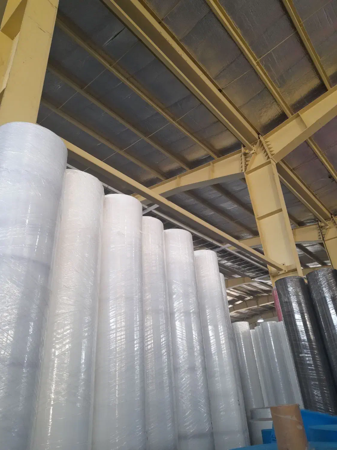 فوم ضد سرما(محصولات کشاورزی)|خدمات باغبانی و درختکاری|بیضا, |دیوار