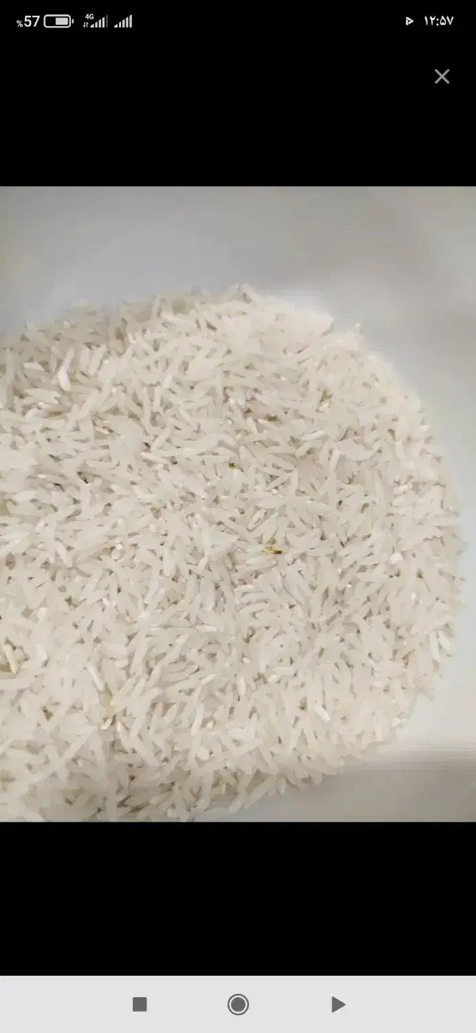 برنج فجر سوزنی 90روزه به شرط پخت|خوردنی و آشامیدنی|سنگدوین, |دیوار