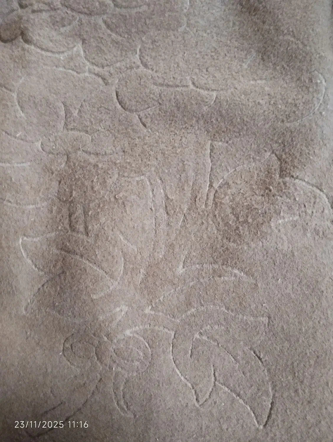 موکت قهوه ای|موکت|مشهد, گاز|دیوار