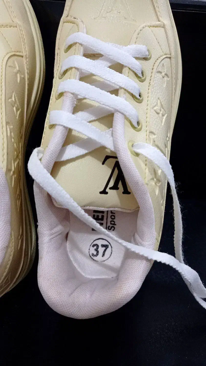 کتونی|کیف، کفش، کمربند|رشت, حومه رشت|دیوار